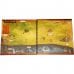 Board game Red Raven Games Near and Far (eng) ( 015RVM )