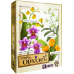 Board game WoodCat Oh My. Orchids (ukr) ( wdct018 )