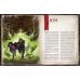 Настільна гра Geekach Games Поклик Ктулху: Жахіття За Брамою (Call Of Cthulhu: Gateways To Terror) (укр) ( GKRP0045 )
